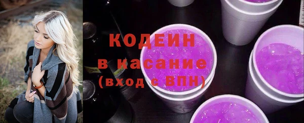прущие грибы Абинск
