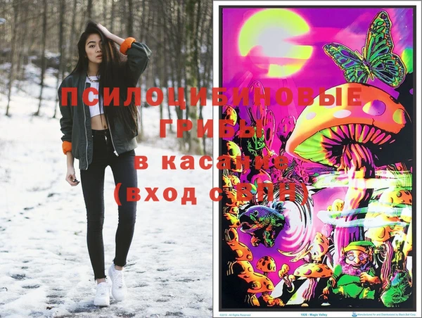 прущие грибы Абинск