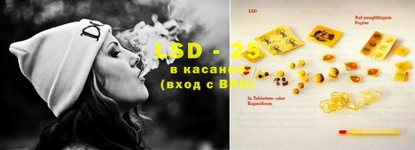 прущие грибы Абинск
