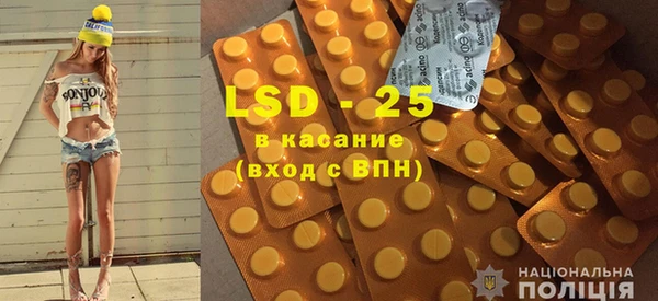 прущие грибы Абинск