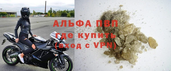 прущие грибы Абинск