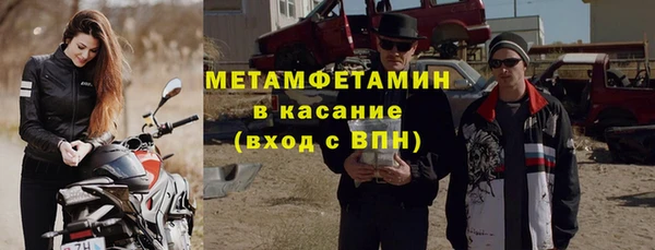 прущие грибы Абдулино