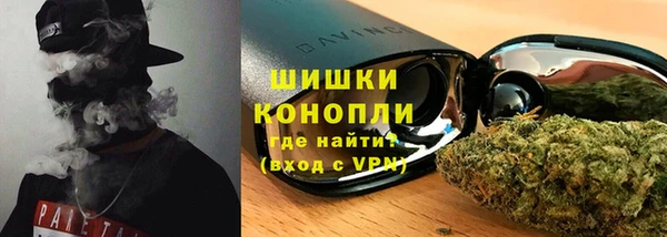 прущие грибы Абинск
